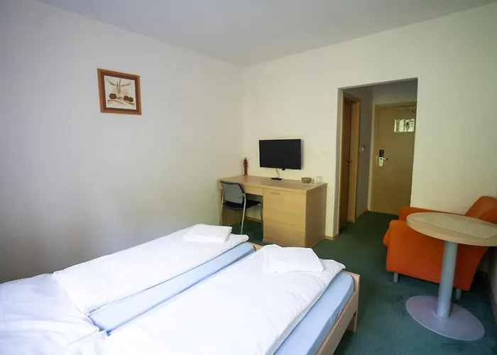 Guest house Pod Oblazom 3*